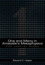 One and Many in Aristotle's Metaphysics: The Central Books