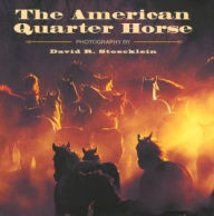 Title: The American Quarter Horse, Author: David R. Stoecklein