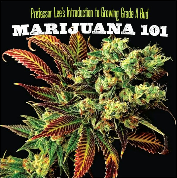 Marijuana 101: Everything You Need to Know