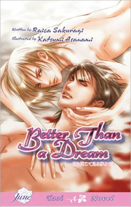 Better Than A Dream Yaoi Novel By Raica Sakuragi