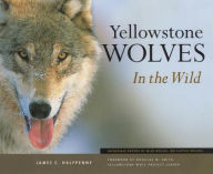 Title: Yellowstone Wolves in the Wild, Author: James C Halfpenny
