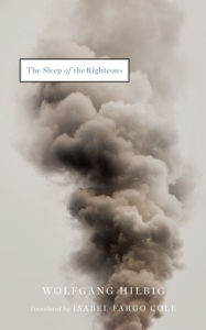 Title: The Sleep of the Righteous, Author: Wolfgang Hilbig