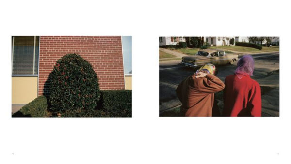 William Eggleston: For Now