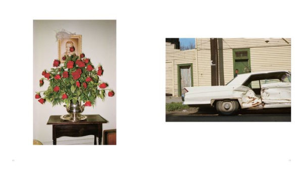 William Eggleston: For Now