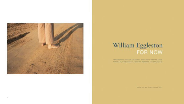 William Eggleston: For Now
