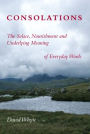Consolations: The Solace, Nourishment, and the Underlying Meaning of Everyday Words