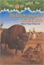 Búfalos antes del desayuno (Buffalo Before Breakfast: Magic Tree House Series #18)