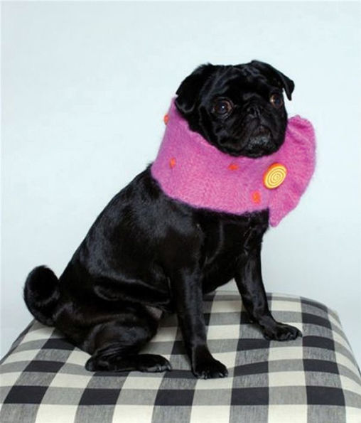 PuppyKnits: 12 QuickKnit Fashions for Your Best Friend