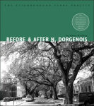 Alternative view 1 of Before and After North Dorgenois (The Neighborhood Story Project Series)