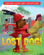 Lost Dog! (Choose Your Own Adventure Dragonlarks Series)