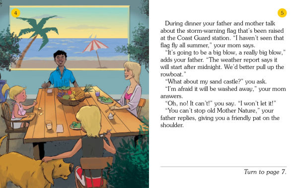 Sand Castle (Choose Your Own Adventure: A Dragonlark Book)