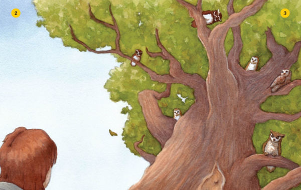 Owl Tree (Choose Your Own Adventure: A Dragonlark Book)
