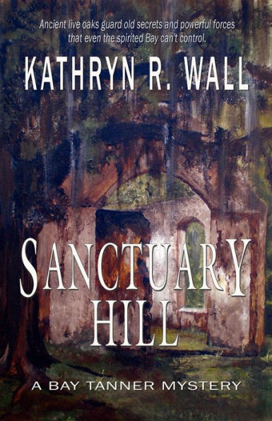 Sanctuary Hill (Bay Tanner Series #7)