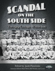 South Side Hitmen: The Story of the 1977 Chicago White Sox [Book]