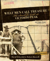 Title: What Men Call Treasure: The Search for Gold at Victorio Peak, Author: David Schweidel