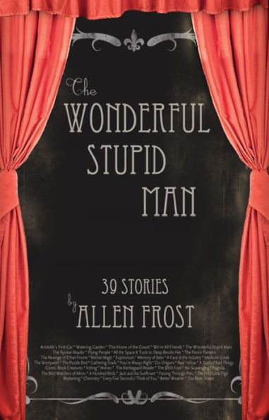 The Wonderful Stupid Man: Stories