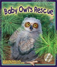 Title: Baby Owl's Rescue, Author: Jennifer Keats Curtis