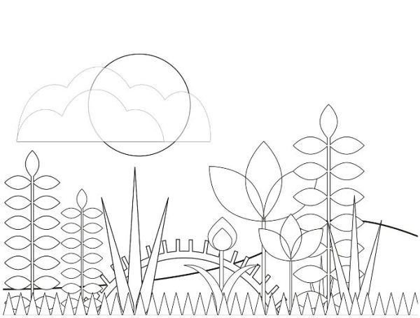 Natural Wonders: A Patrick Hruby Coloring Book