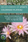 Wildflowers of Utah's Colorado Plateau: A Field Guide to Wildflowers of Capitol Reef National Park and Surrounding Areas of Southern Utah