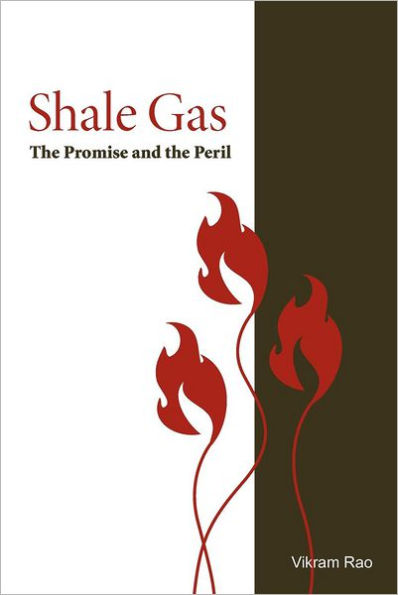 Shale Gas: The Promise and the Peril