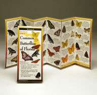 Title: Common Butterflies of Florida, Author: Steve Lewers