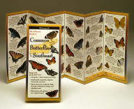 Title: Common Butterflies of the Southeast, Author: Steve Lewers