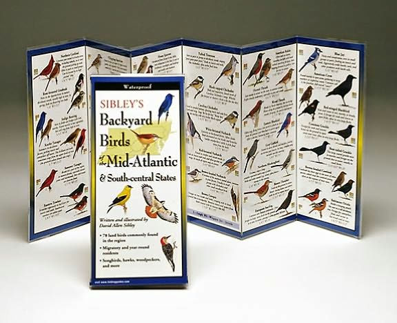 Sibley's Backyard Birds of Mid-Atlantic