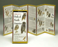 Title: Sibley's Owls of North America, Author: David Allen Sibley