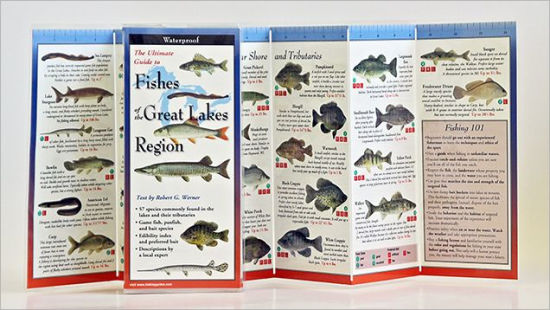 Fishes of the Great Lakes Region by Professor Robert Werner, Paperback ...