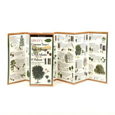 Sibley's Trees of Trails and Forests of the Mid-Atlantic & Midwest