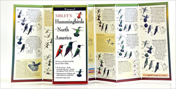 Sibley's Hummingbirds of North America