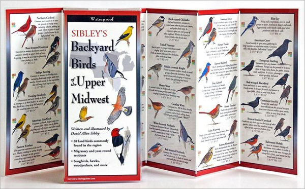 Sibley's Backyard Birds of the Midwest