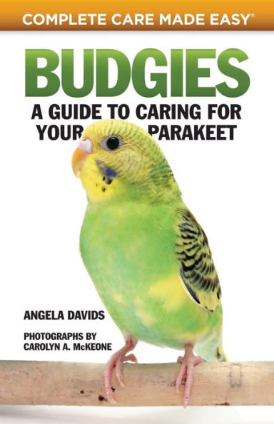 Budgies: A Guide to Caring for Your Parakeet