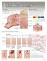 Title: Skin Growth & Repair Wall Chart: 8250, Author: Scientific Publishing