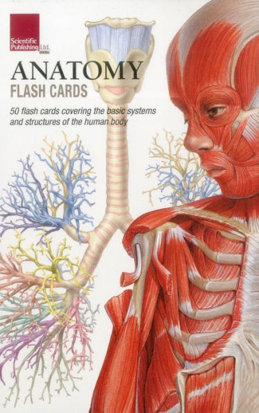 Anatomy Flash Cards