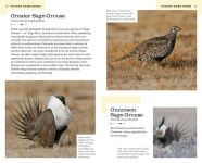 Alternative view 2 of The American Birding Association Field Guide to the Birds of Colorado