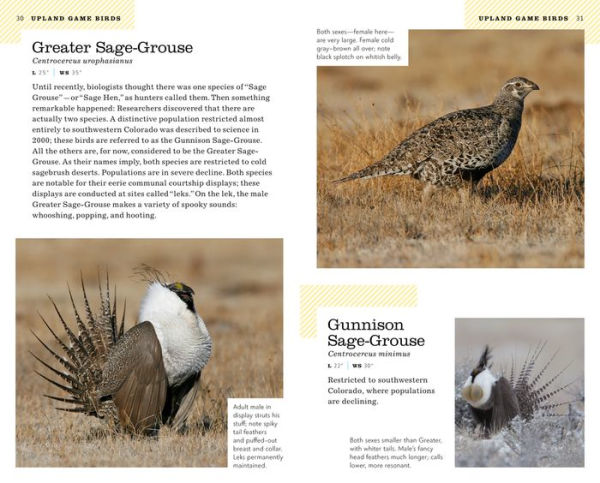 The American Birding Association Field Guide to the Birds of Colorado