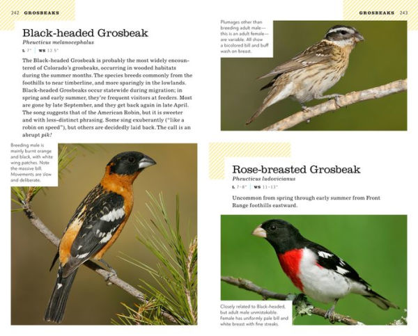The American Birding Association Field Guide to the Birds of Colorado
