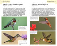 Alternative view 5 of The American Birding Association Field Guide to the Birds of Colorado