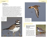 Alternative view 6 of The American Birding Association Field Guide to the Birds of Colorado