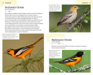 Alternative view 7 of The American Birding Association Field Guide to the Birds of Colorado