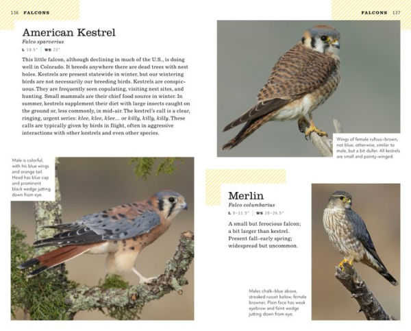 The American Birding Association Field Guide to the Birds of
