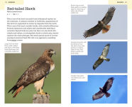 Alternative view 4 of American Birding Association Field Guide to Birds of California