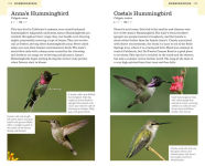 Alternative view 5 of American Birding Association Field Guide to Birds of California