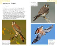 Alternative view 6 of American Birding Association Field Guide to Birds of California