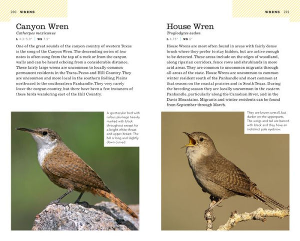 American Birding Association Field Guide to Birds of Texas