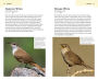 Alternative view 5 of American Birding Association Field Guide to Birds of Texas