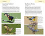 Alternative view 6 of American Birding Association Field Guide to Birds of Texas