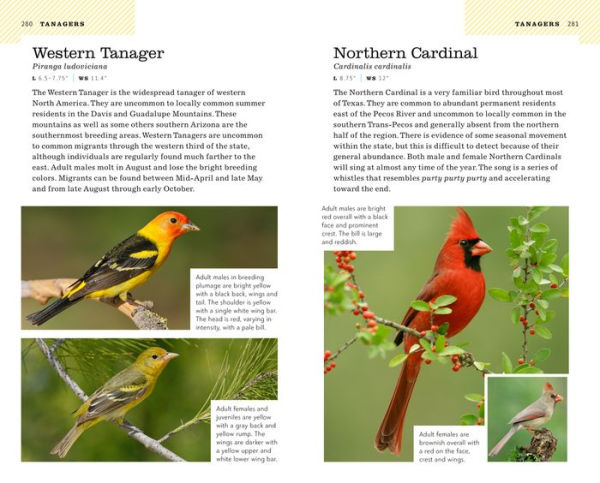 American Birding Association Field Guide to Birds of Texas