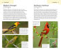 Alternative view 7 of American Birding Association Field Guide to Birds of Texas